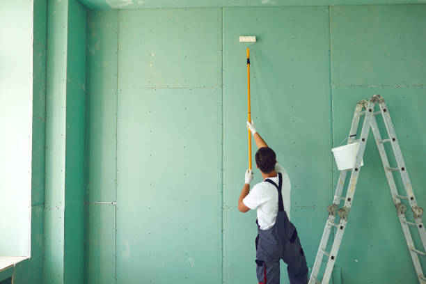 Professional Painting & Drywall Services in Fruitland Park, FL